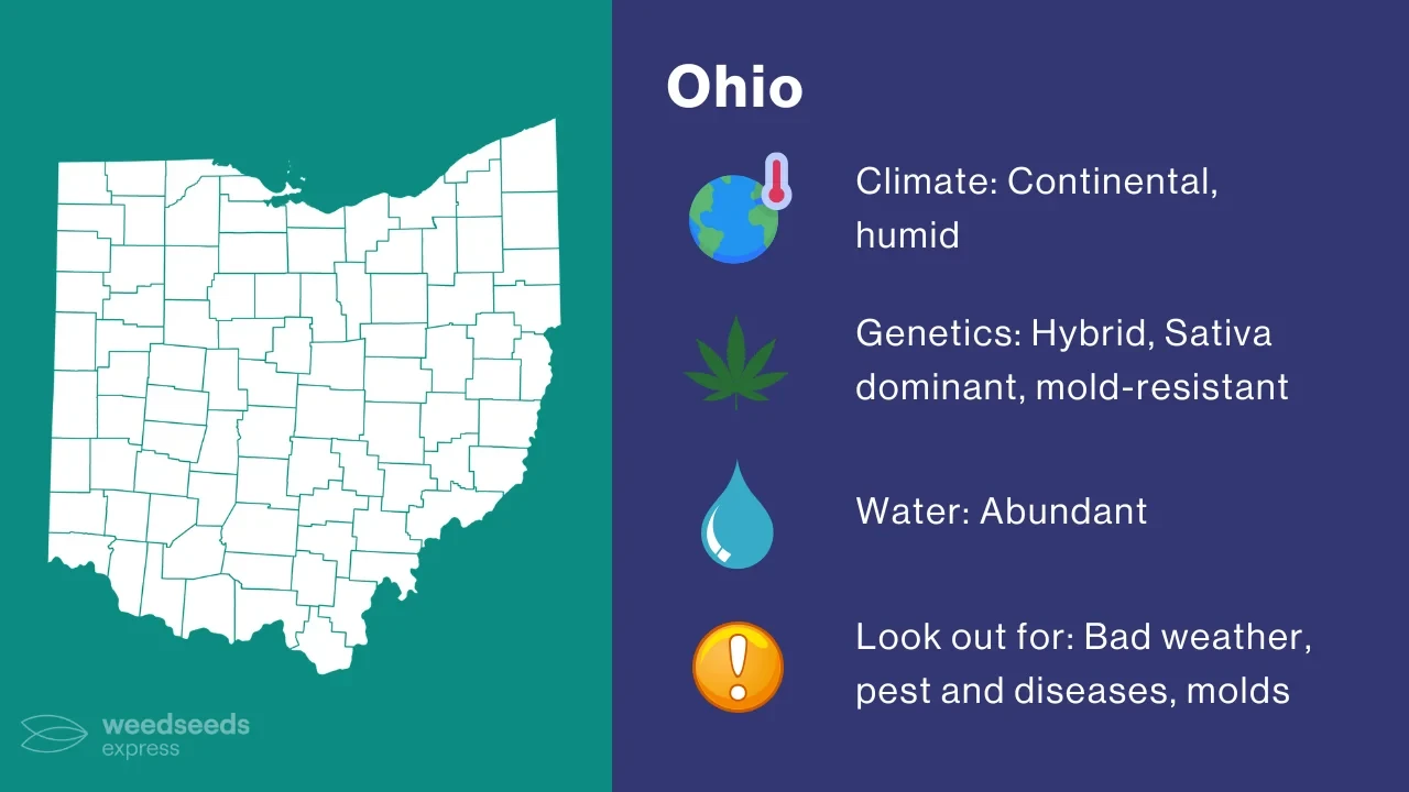 Cannabis Growing Climate in Ohio
